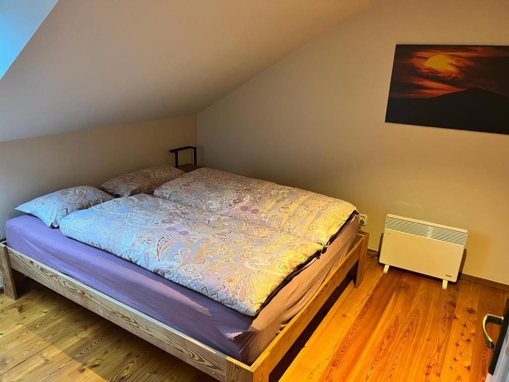 Duzy Apartament Duszniki-Zdroj Duszniki Zdrój Exterior foto